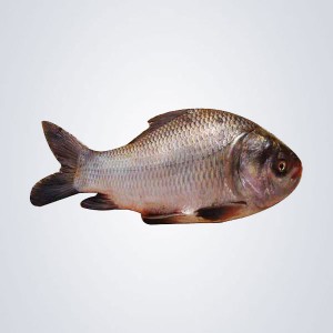 Katla Fish-(1-1.5kg/per) /1kg